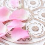 petit bonheur（プチボヌー）とは